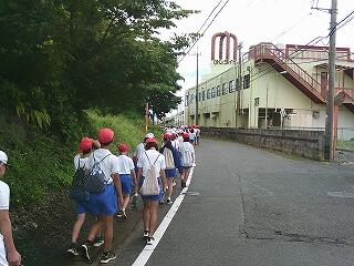 花いっぱい運動１