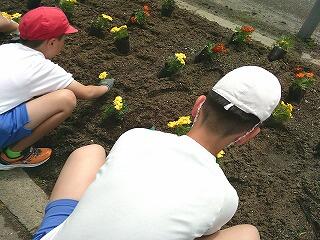 花いっぱい運動３