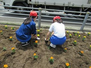 花いっぱい運動７